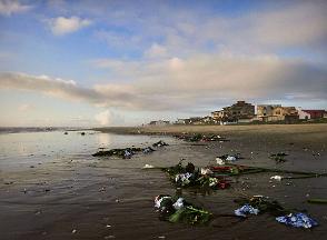 882_240109_0040_wcut