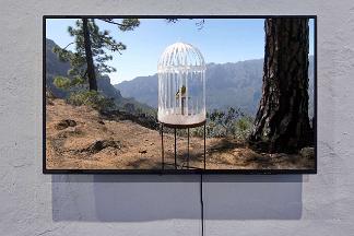 882_240109_0050_wcut