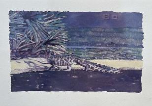 882_240109_0144_wcut