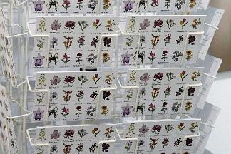 882_240109_0151_wcut