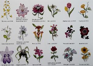 882_240109_0153_wcut