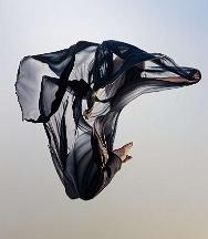 882_240109_0155_wcut