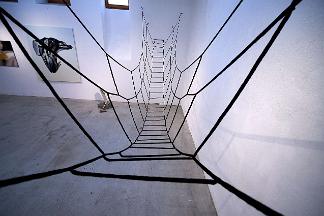 882_240109_0167_wcut