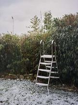 882_240109_0183_wcut