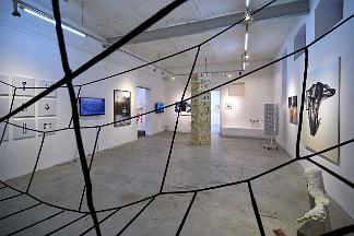 882_240113_0214_wcut