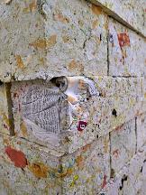 882_240113_0241_wcut